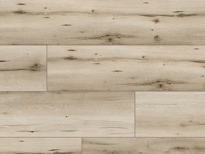 CLASSEN ARTEO 8 XL  4V 8mm - Dub GALAPAGOS 54833