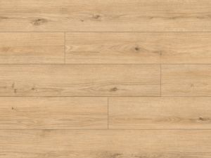 Classen Arteo 8M aquaprotect 4V, 8 mm - 62757 Dub Namib