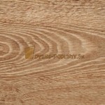d-2019-dab-galapagos-1_decor_d