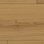 ec2022_dub_divoky